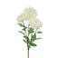 Krizantém - WHITE (73 cm) 