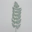 Páfrány levél (53 cm) 