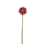 Gerbera (49 cm) | RED