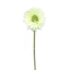 Gerbera (49 cm) | LT GREEN