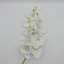 Orchidea | gumi (100 cm)