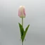 Tulipán (60 cm) 