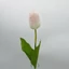 Tulipán (60 cm) 