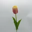 Tulipán (60 cm) 