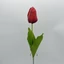 Tulipán (60 cm) 