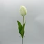 Tulipán (60 cm) 