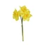 Nárcisz köteg | 3 szálas (41 cm) 