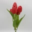 Tulipán csokor | gumi | 5 virágos (29 cm)