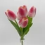 Tulipán csokor | 5 virágos | gumi (30 cm) 