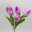Tulipán csokor | 5 virágos | gumi (30 cm) 