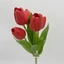 Tulipán csokor | 5 virágos | gumi (30 cm) 