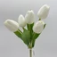 Tulipán csokor | 5 virágos | gumi (30 cm) 