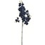 Orchidea - BLUE BLACK (70 cm) 