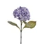 Hortenzia - VIOLET (64 cm) 