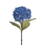 Hortenzia - DR BLUE (64 cm) 