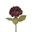 Hortenzia - BURGUNDY (64 cm) 