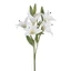 Liliom csokor - WHITE (60 cm)