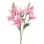 Liliom csokor - LT PINK (60 cm)