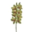 Orchidea | gumi - GREEN (72 cm) 