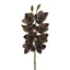 Orchidea | gumi - GREEN BROWN (72 cm) 