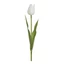 Élethű tulipán - WHITE (41 cm) 