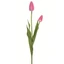 Tulipán - PINK (52 cm) 