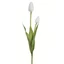 Tulipán - WHITE (52 cm) 