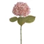 Hortenzia | DIRTY PINK (65 cm) 