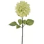 Dália - GREEN (72 cm) 