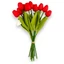 Tulipán csokor - RED (33 cm) 