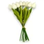 Tulipán csokor - CREAM (33 cm) 