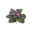 Primula csokor (20 cm) 