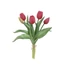Tulipán csokor (30 cm) 