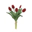 Tulipán csokor (30 cm) 