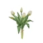 Tulipán csokor (30 cm) 