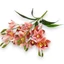 Orchidea csokor | gumi (46 cm) 