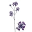 Kapor - DR PURPLE (95 cm)