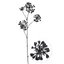 Kapor - BLACK (95 cm)