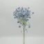 Gumi gypsophila (48 cm)
