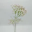 Gumi gypsophila (48 cm)
