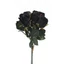 Rózsa köteg - BLACK (39 cm) 