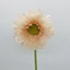 Gerbera (52 cm) 